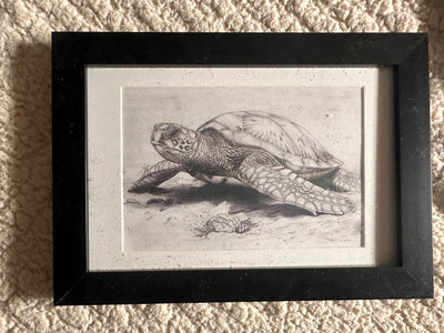 "Crash" by Alfonso Apodaca $150