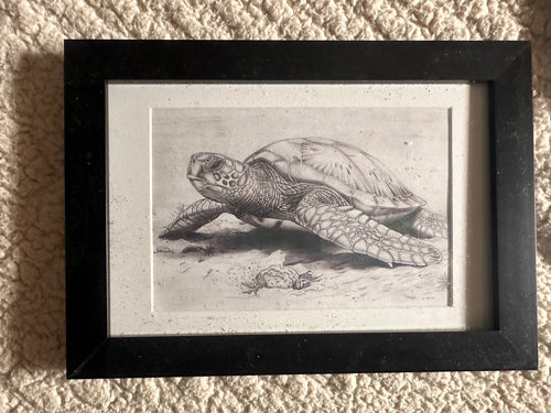"Crash" by Alfonso Apodaca $150