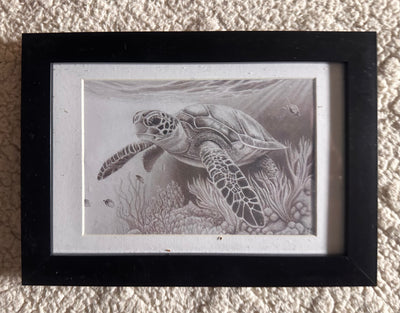 "Guardian of the Reef" by Alfonso Apodaca $200