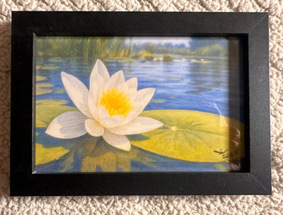 "Lilypad" by Alfonso Apodaca $200