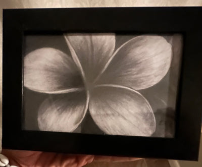 “Charcoal Plumeria” by Alfonso Apodaca $150
