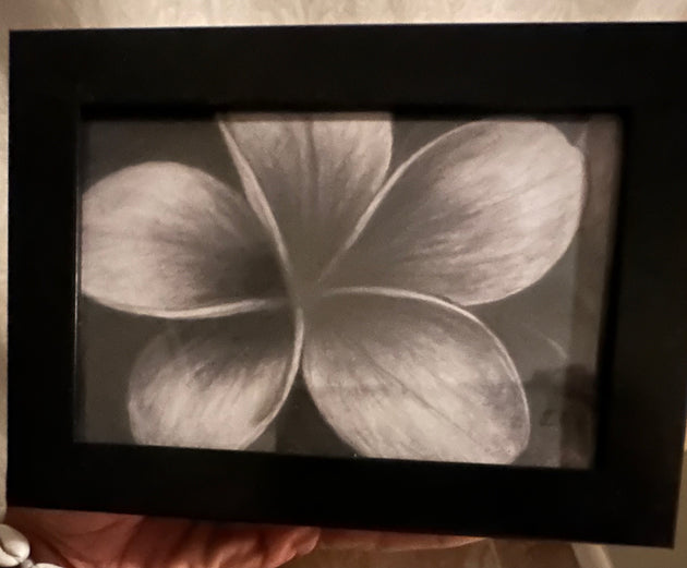 “Charcoal Plumeria” by Alfonso Apodaca $150