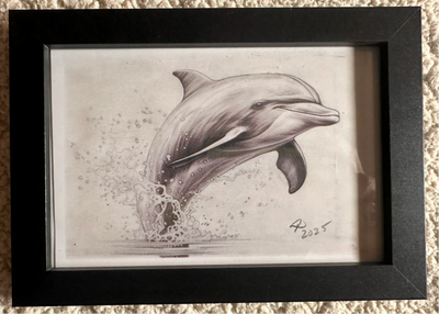 “Flipper” by Alfonso Apodaca $150
