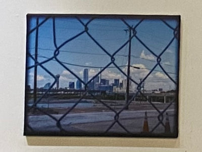 “Lock Down Dallas” by Andrew Sherman $40