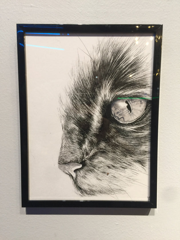 "Cat Eye" by Alex Hundemer  $50