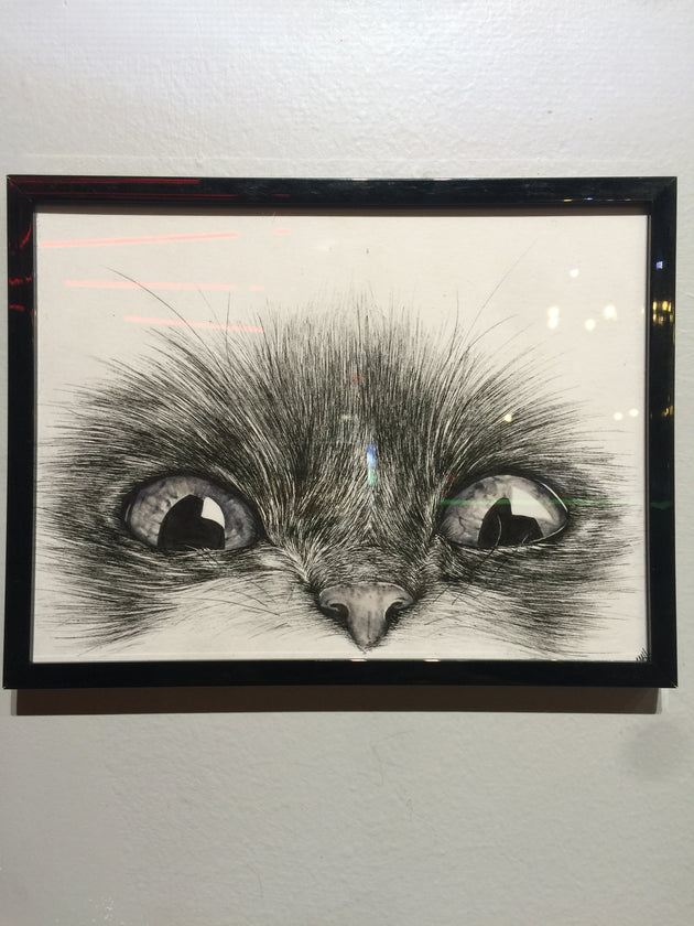 "Cat Eyes" by Alex Hundemer  $50