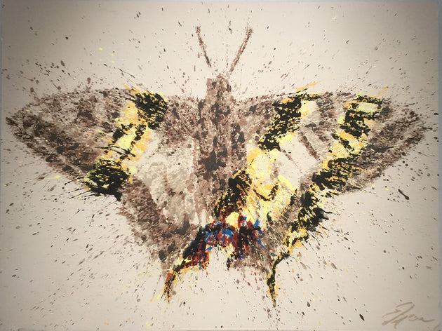 “Papilio machaon” by Eric Hanson