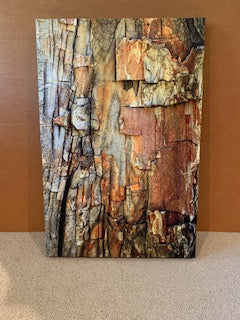 "Jigsaw Puzzle Tree Bark" by Anne Griffin $275