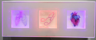 "Holograms in a box" by Ashley Jacob  $497