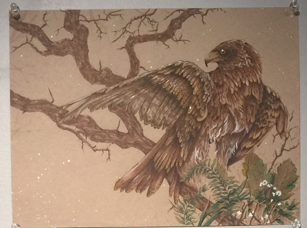 "Hawk" by Alex Hundemer  $80