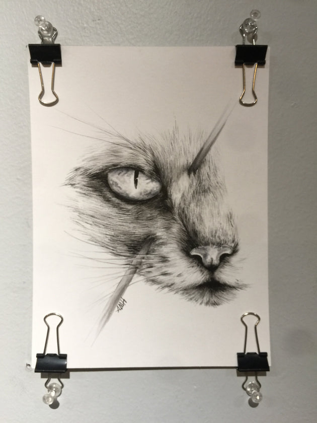 "Hunted: Cat's Eye" by Alex Hundemer  $40