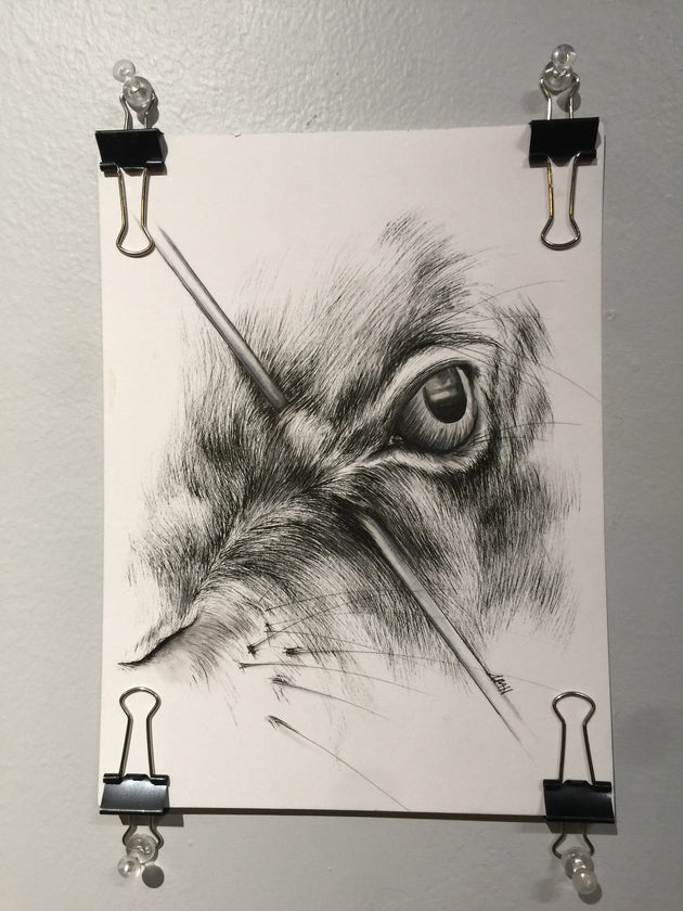 "Hunted: Hare's Eye" by Alex Hundemer  $40
