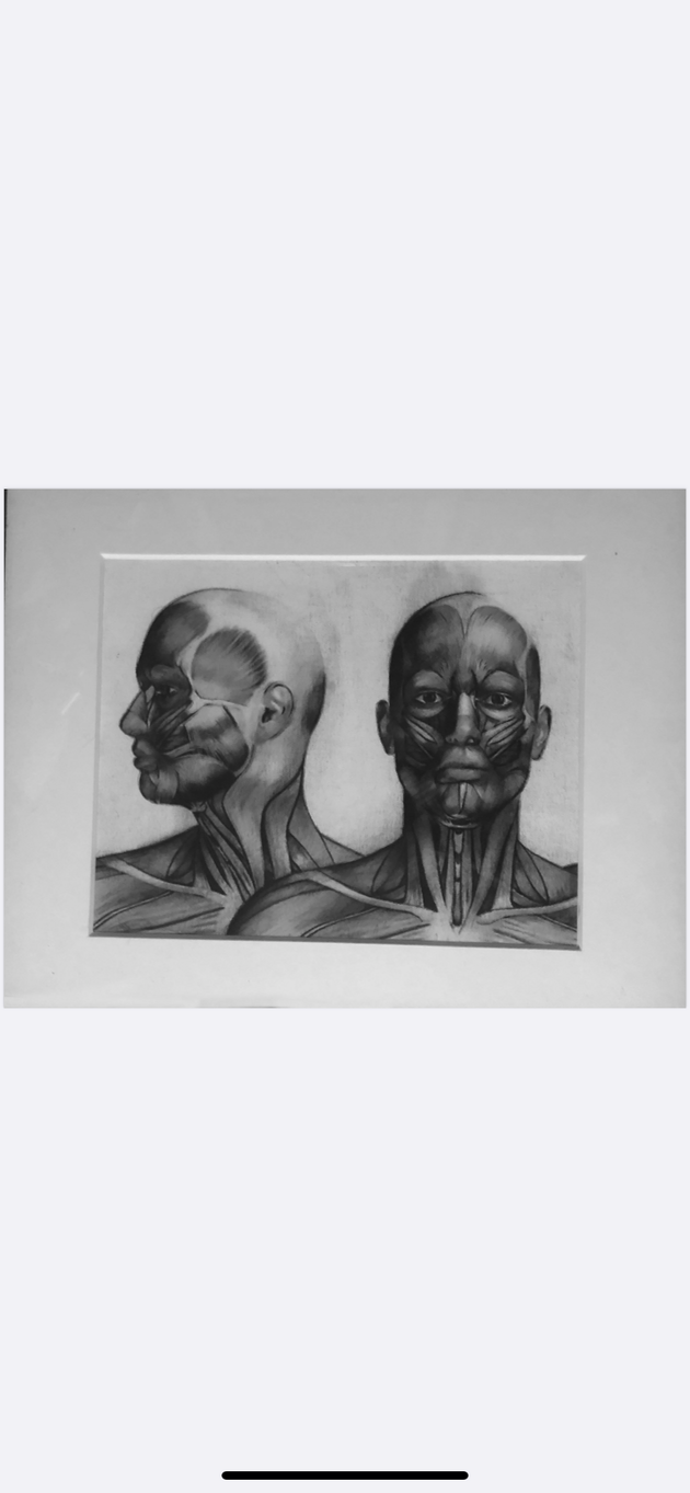 "Headcase" by Alfonso Apodaca $75