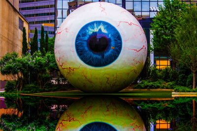 “Eye to Eye” by Andrew Sherman $150